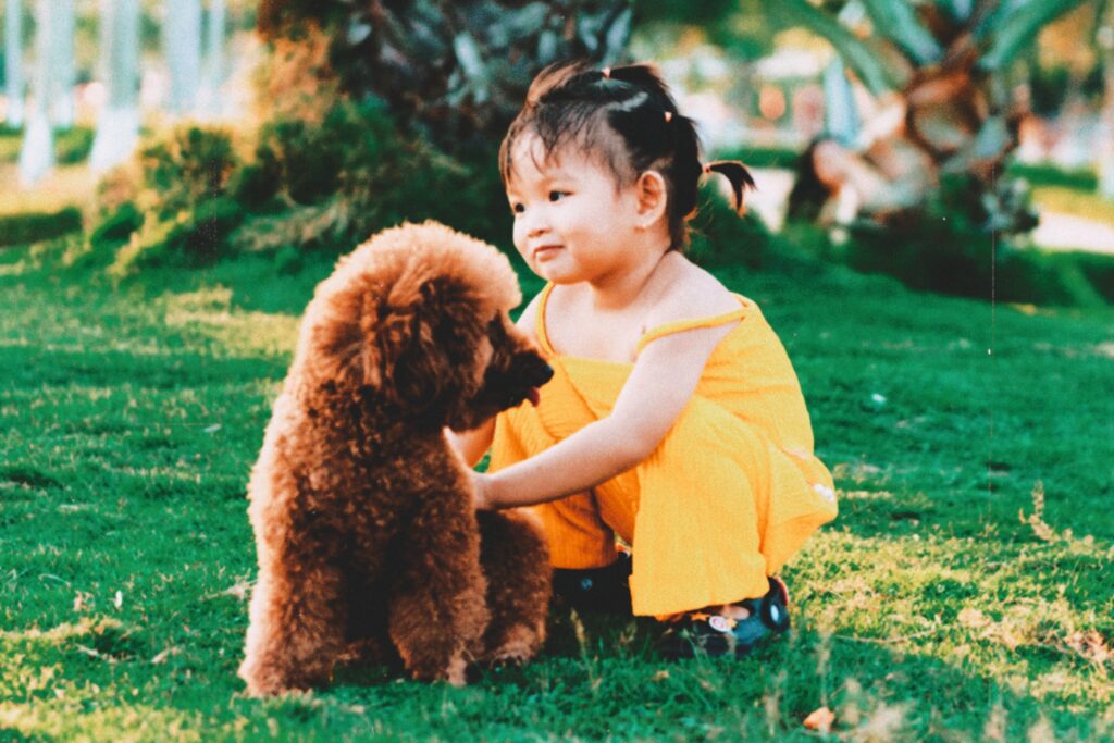 IS THE POODLE THE RIGHT BREED FOR YOU?