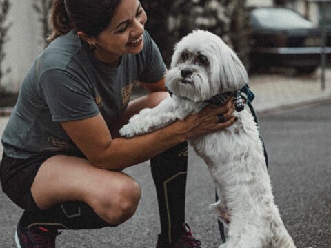 DO POODLE SHED A LOT?